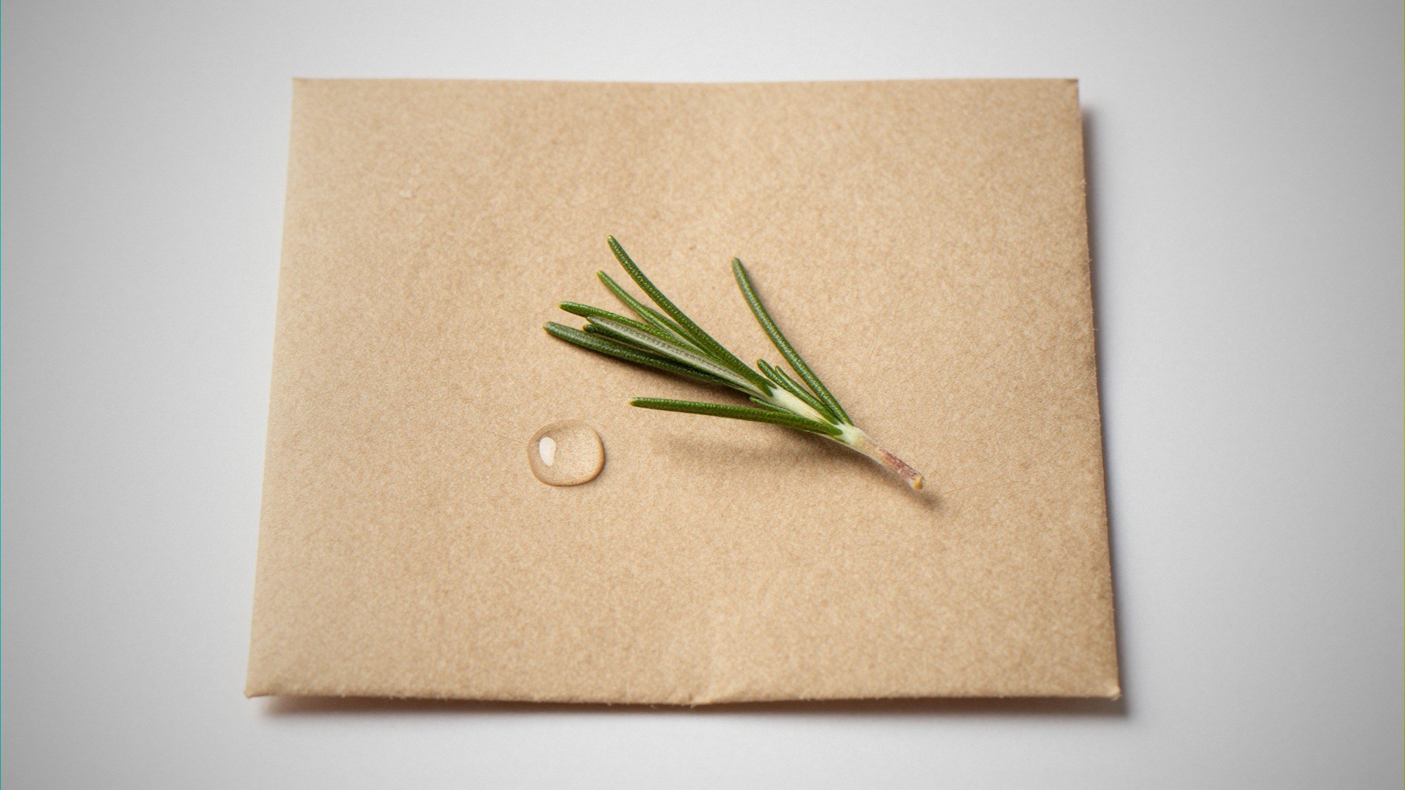 PE Liner vs PLA Liner — Which Coating To Pick For Your Food Box