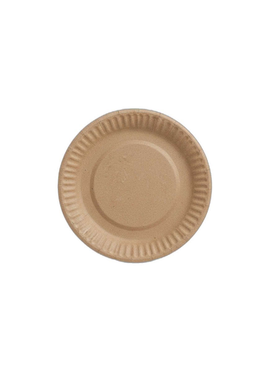 Paper plates 5 inch