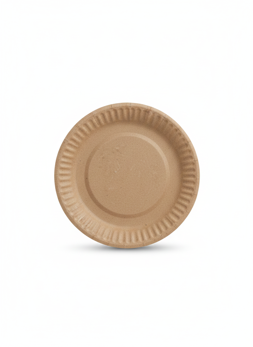 Paper plates 5 inch