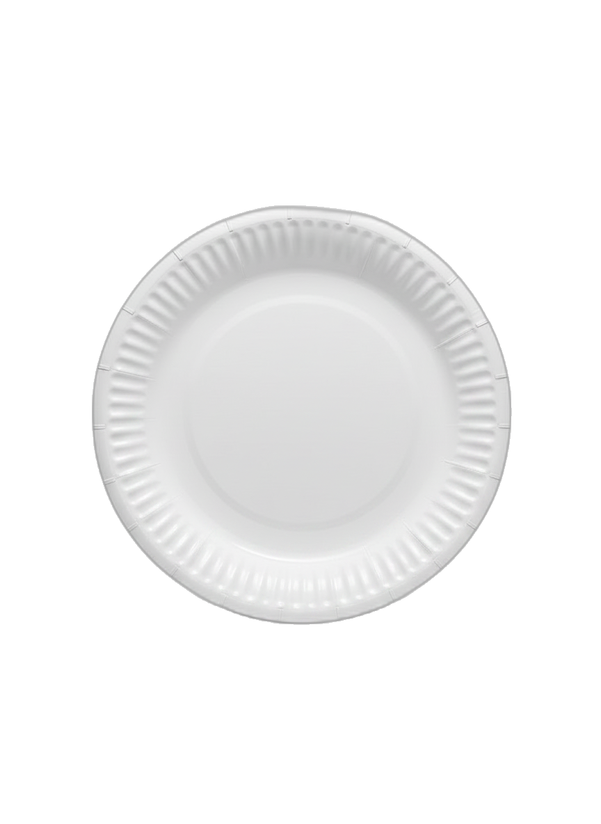 Paper plates 7 inch